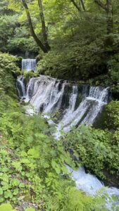 残暑にお気をつけくださいのアイキャッチ画像